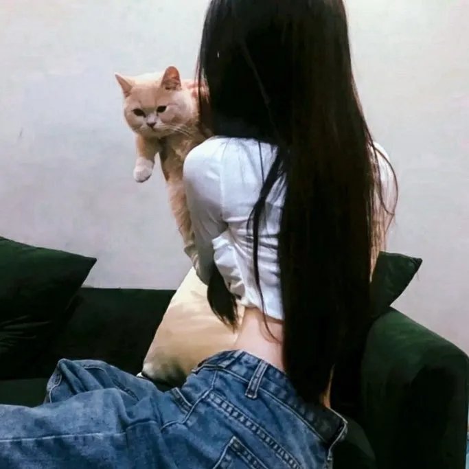 情杀案中案