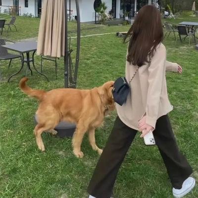 公主与魔法青蛙